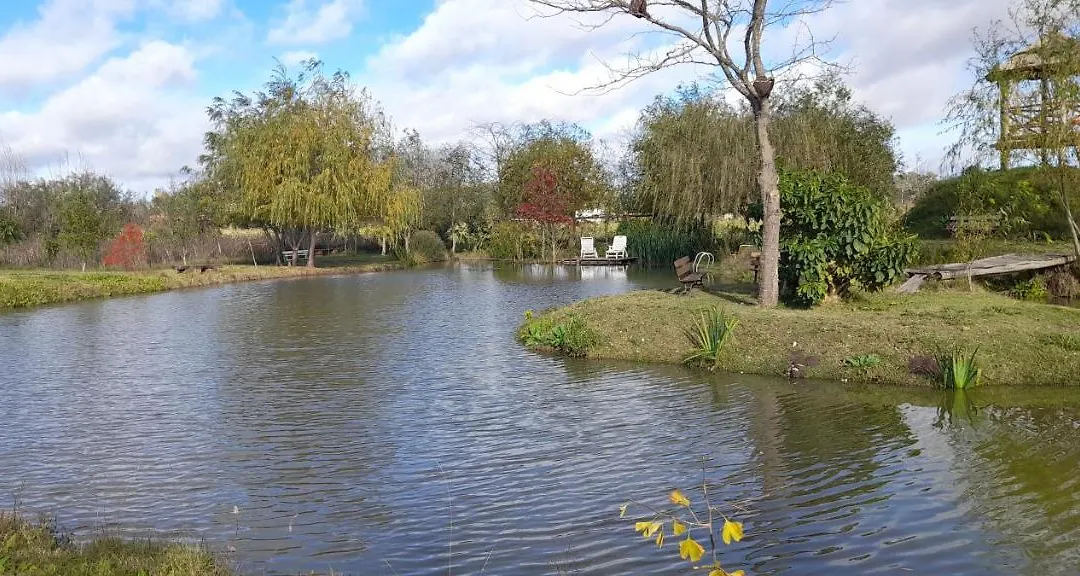 Los furgones de Areco-1